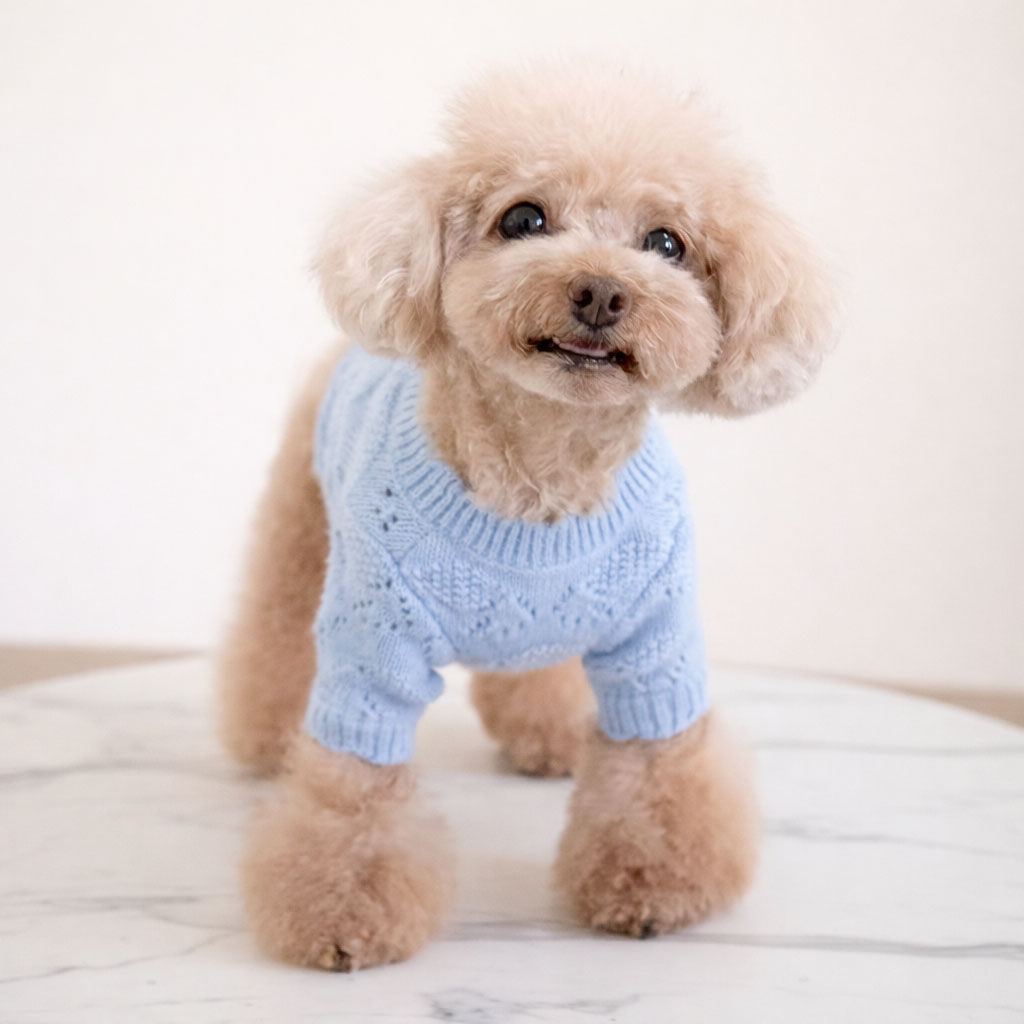 Soft Bloom Knit Cardigan - Image 5