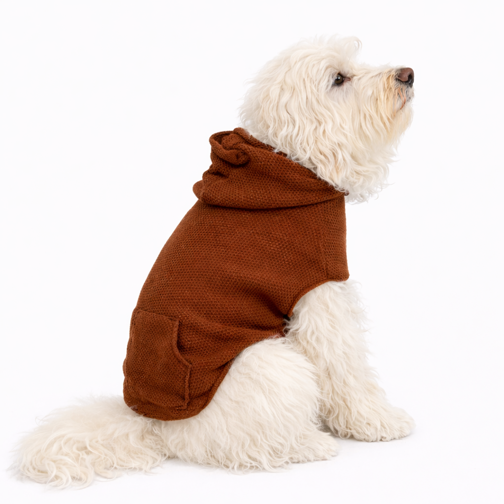 Bear Hood Knit Sweater - Image 3