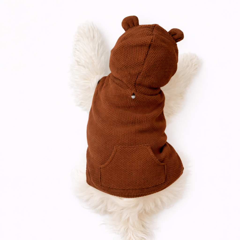 Bear Hood Knit Sweater - Image 4