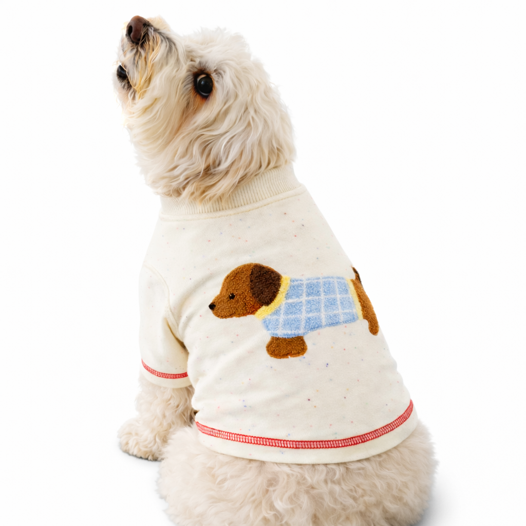 Cozy Boa Sweatshirt - Image 3