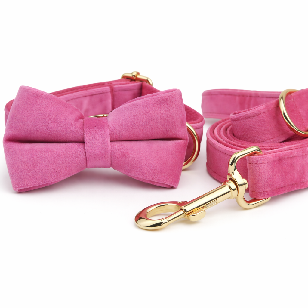Velvet Bow Collar & Leash Set - Image 2