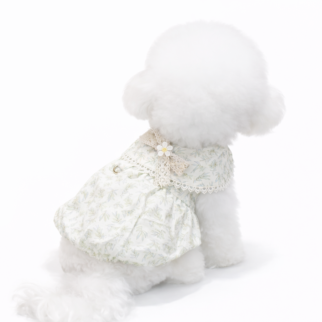 Botanical Lace One-Piece - Image 4