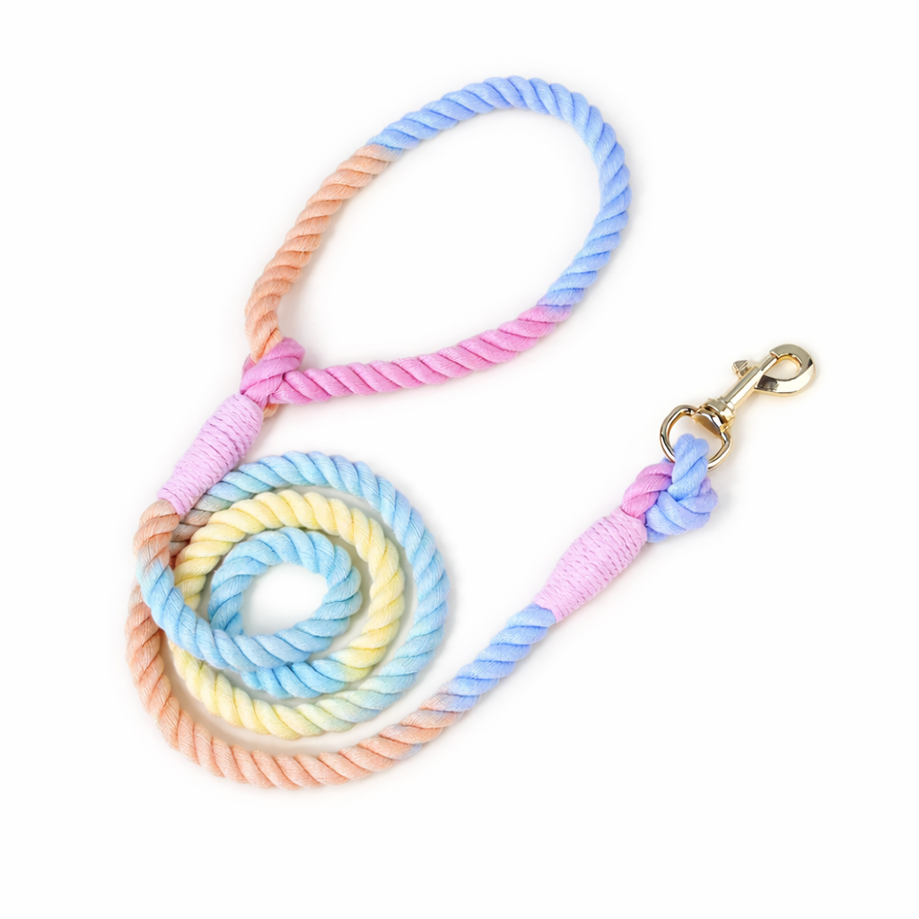 Pastel Twist Rope Leash
