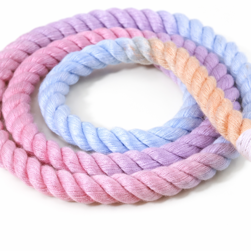 Pastel Twist Rope Leash - Image 2