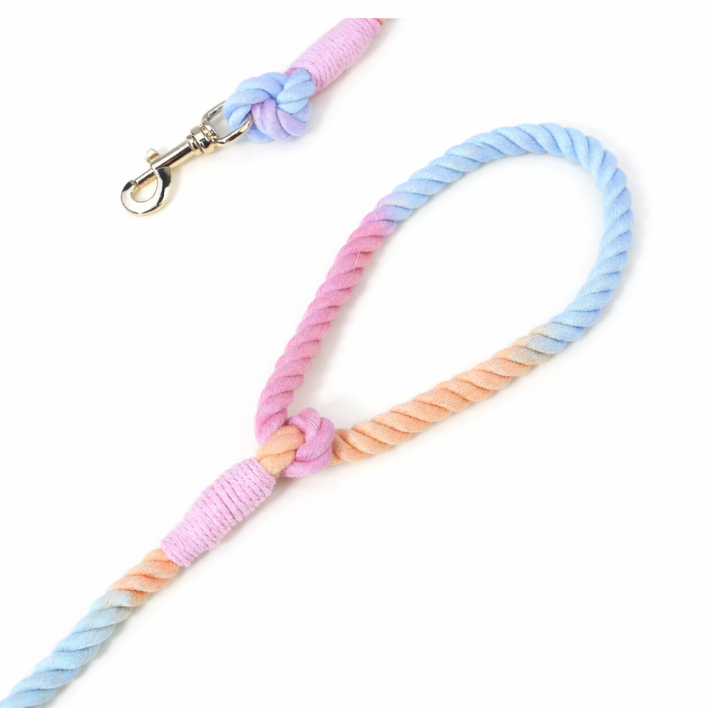 Pastel Twist Rope Leash - Image 4