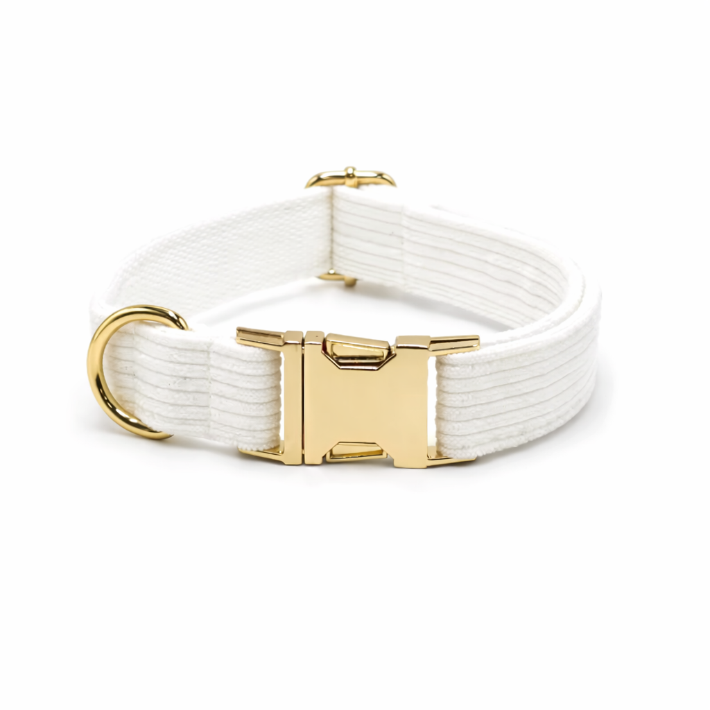 Corduroy Classic Collar - Image 2
