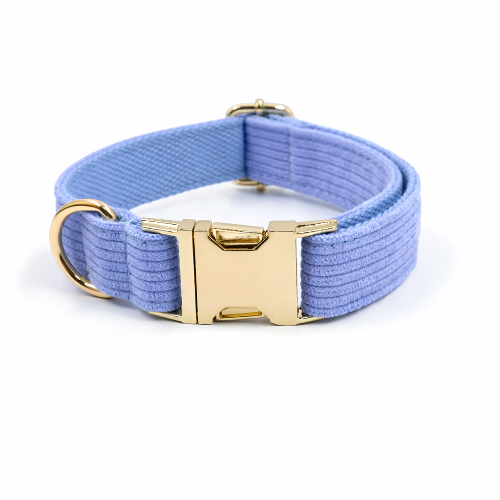 Corduroy Classic Collar - Image 6