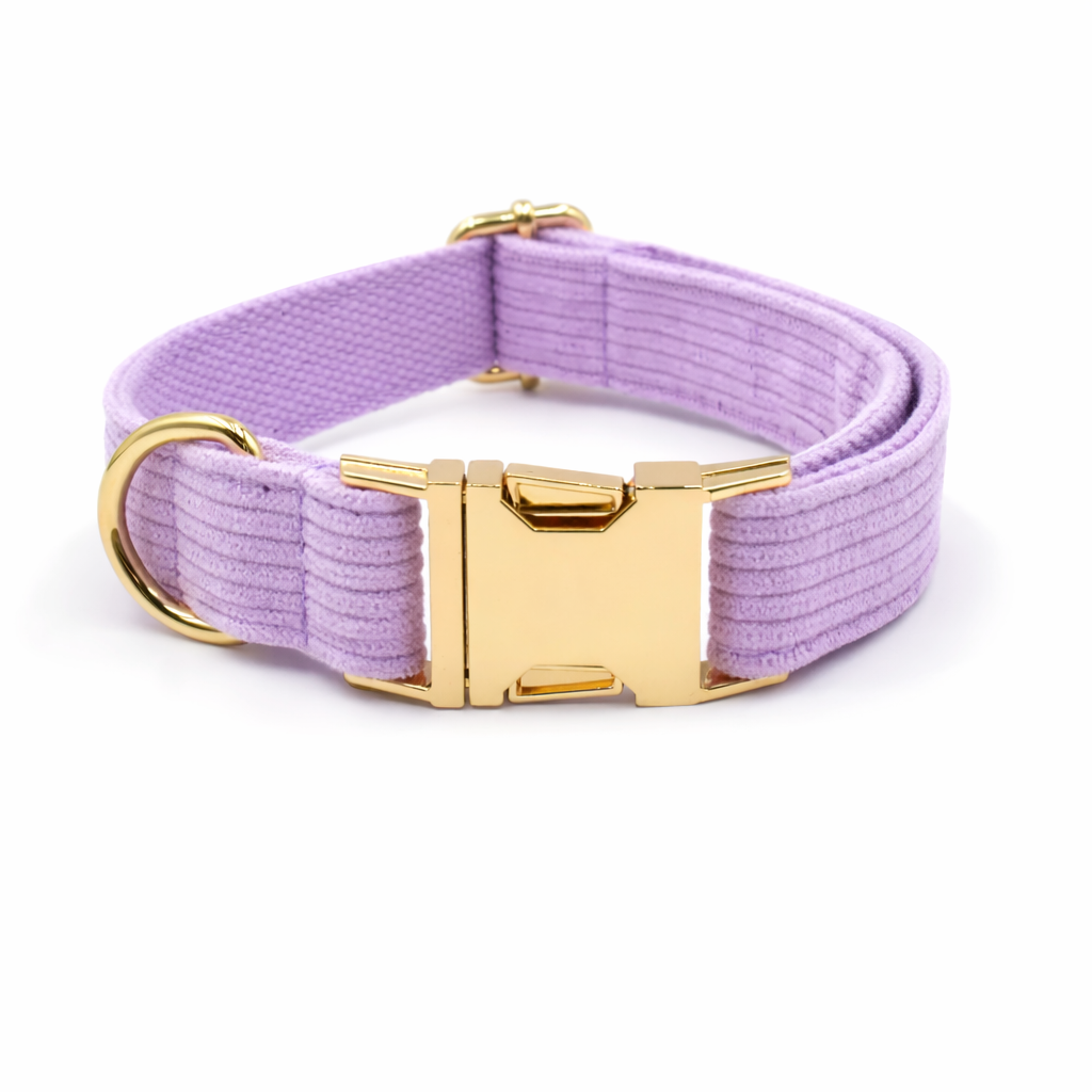Corduroy Classic Collar - Image 5