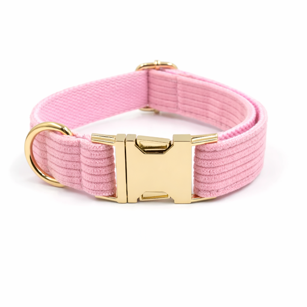 Corduroy Classic Collar - Image 4