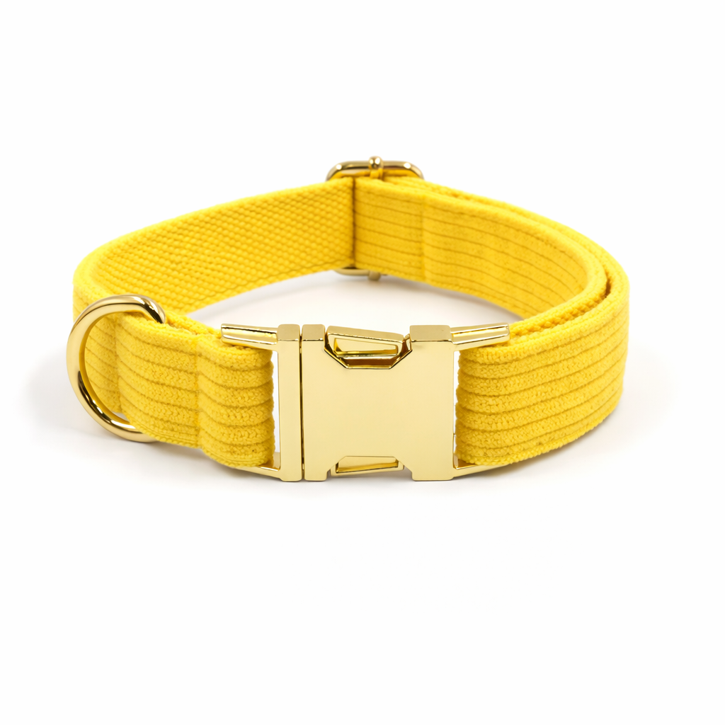 Corduroy Classic Collar - Image 9