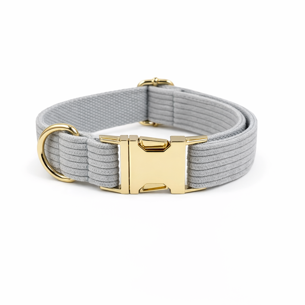 Corduroy Classic Collar - Image 3