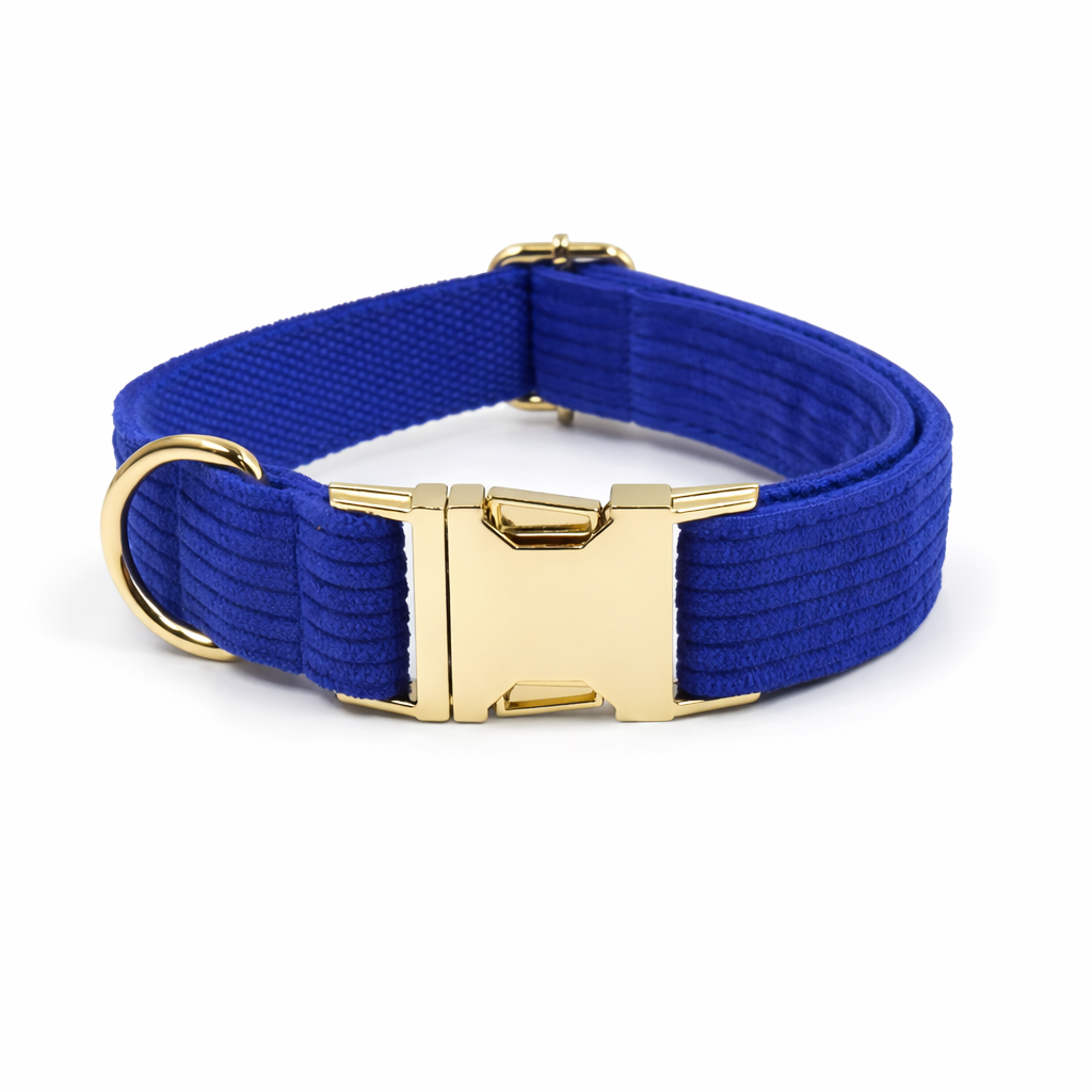 Corduroy Classic Collar - Image 8