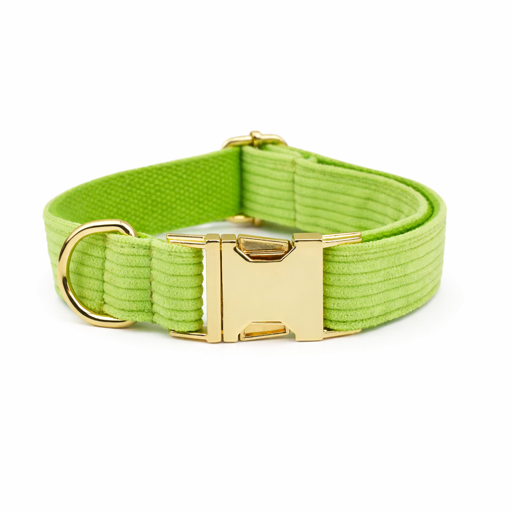 Corduroy Classic Collar - Image 10