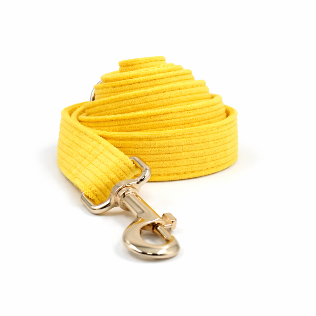 Corduroy Classic Leash - Image 8