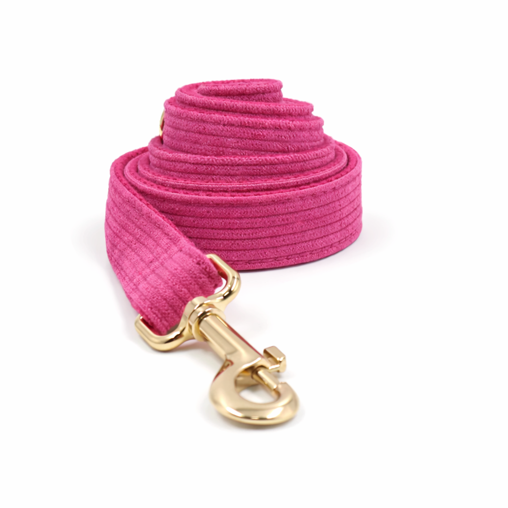 Corduroy Classic Leash - Image 9
