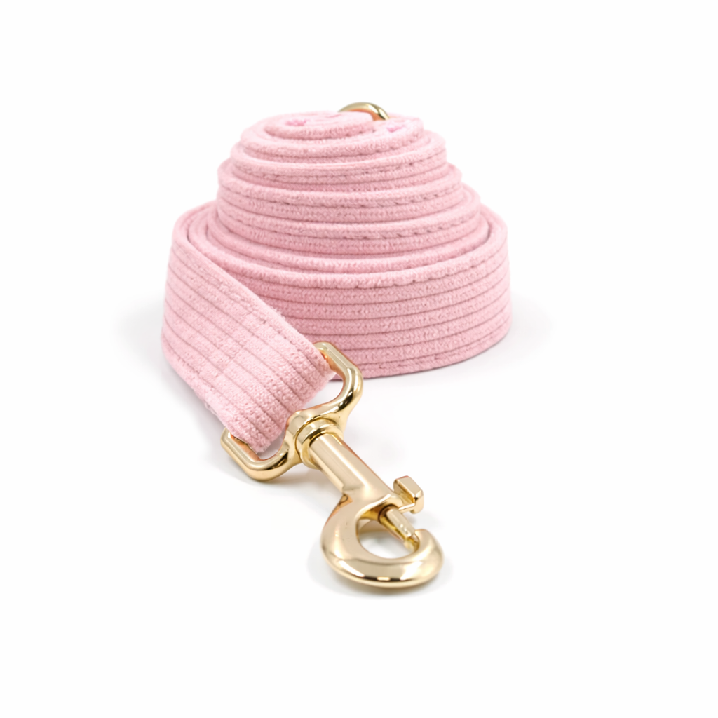 Corduroy Classic Leash - Image 2