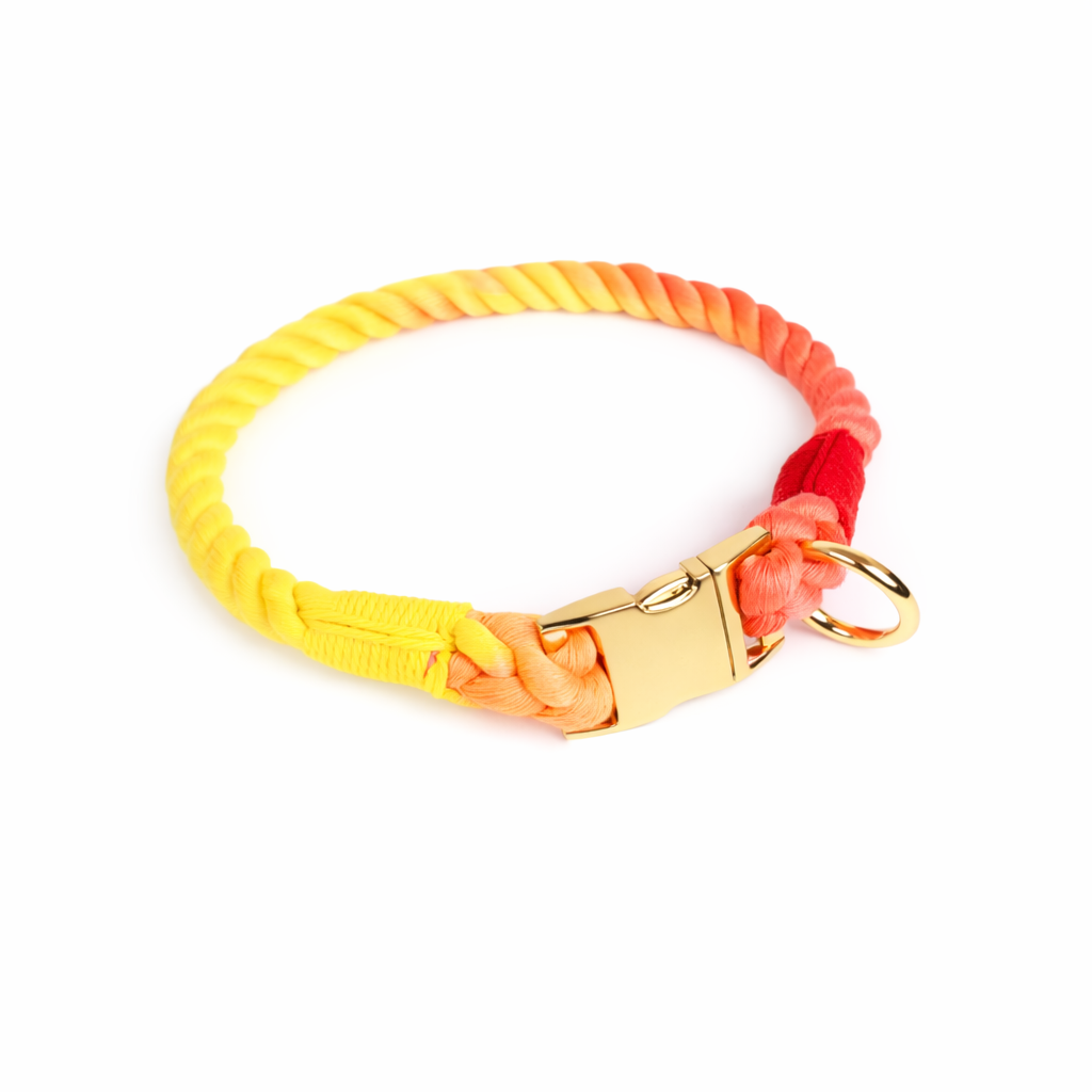 Pastel Rope Collar & Leash Set - 画像 (3)