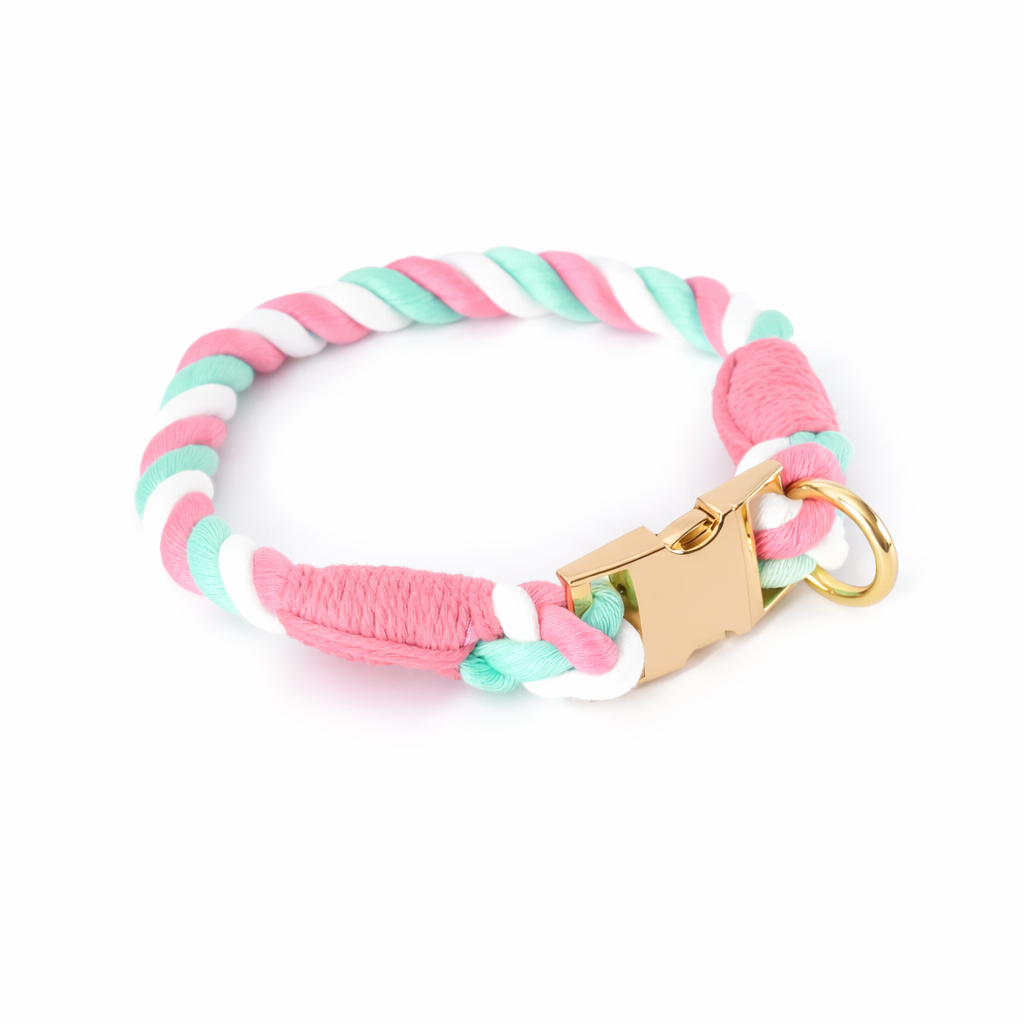 Pastel Rope Collar & Leash Set - 画像 (5)