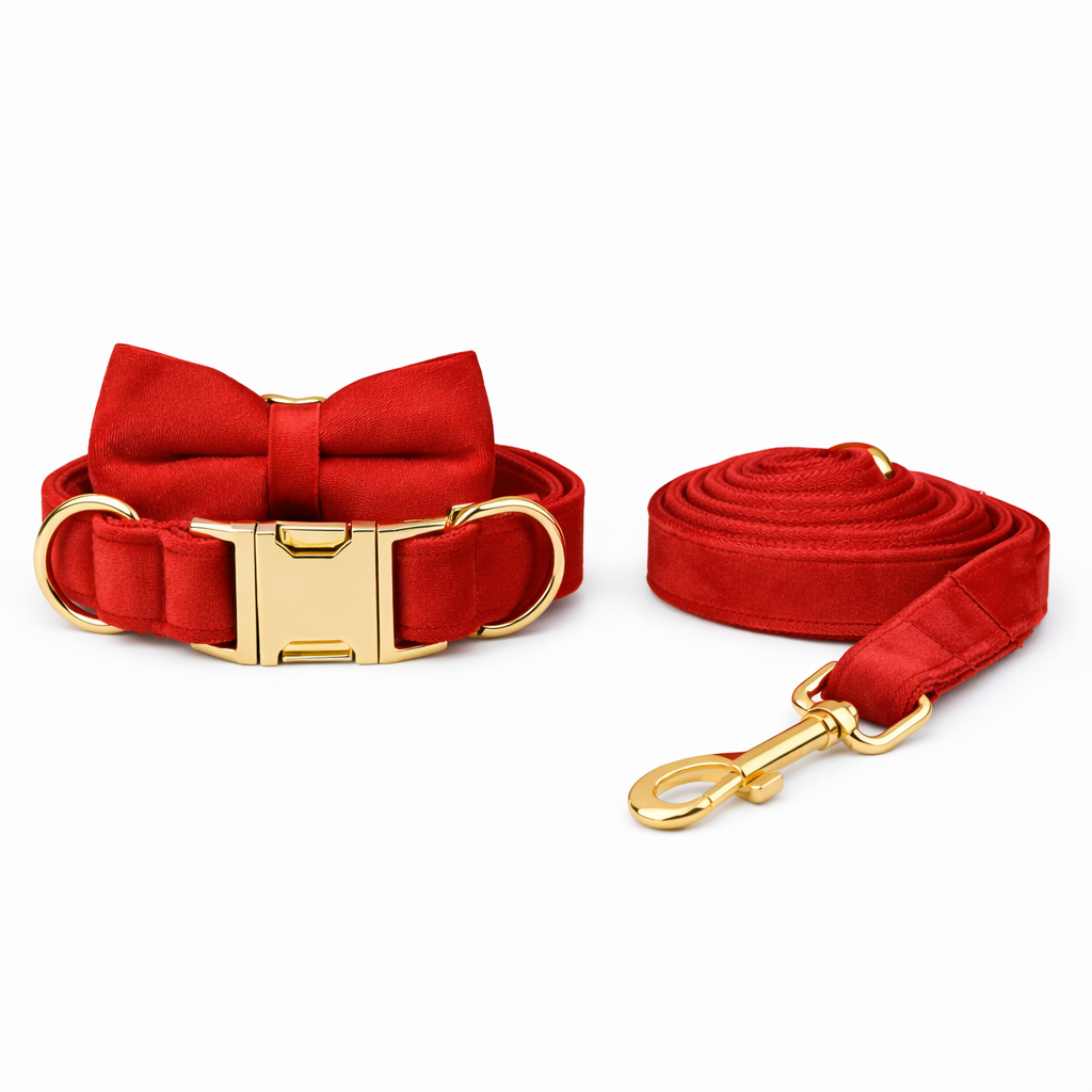 Velvet Bow Collar & Leash Set - Image 6