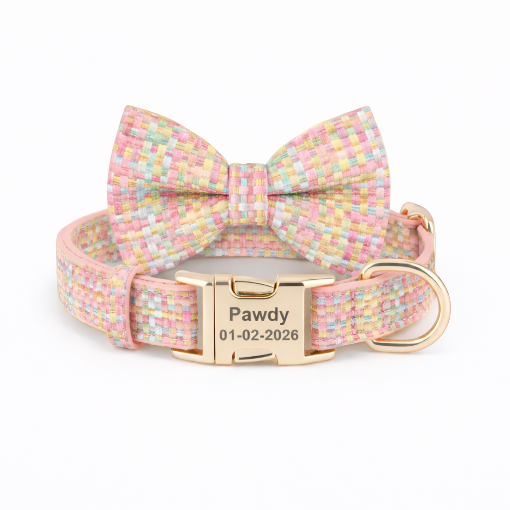 Pastel Weave Bow Collar
