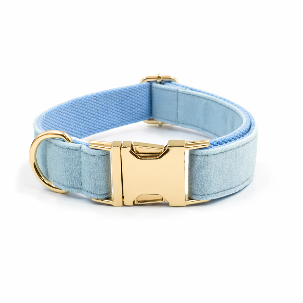 Velvet Rope Walk Set - Image 5