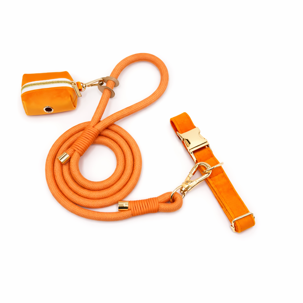 Velvet Rope Walk Set - Image 8