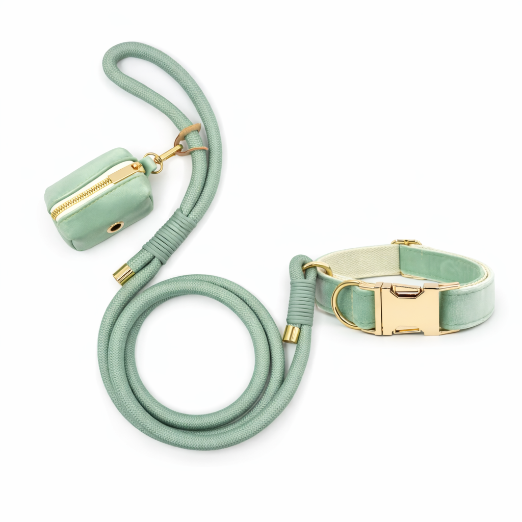 Velvet Rope Walk Set - Image 2