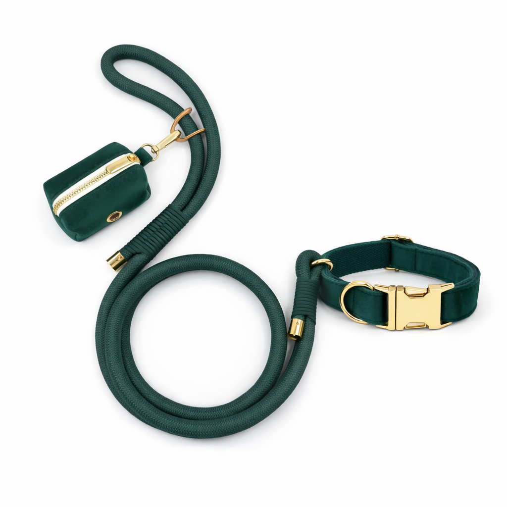 Velvet Rope Walk Set - Image 6