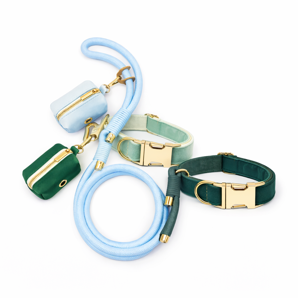 Velvet Rope Walk Set