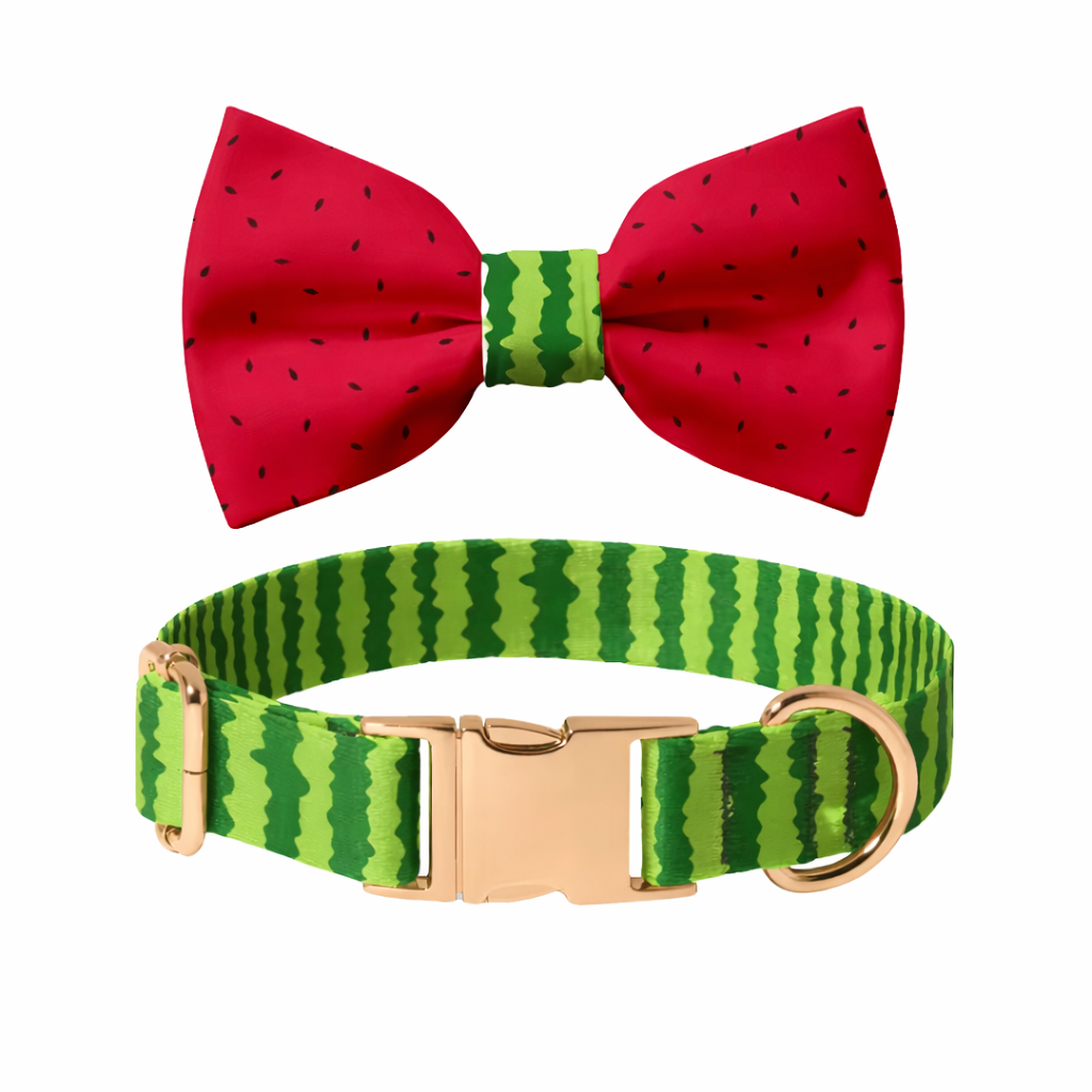Watermelon Bow Collar Set
