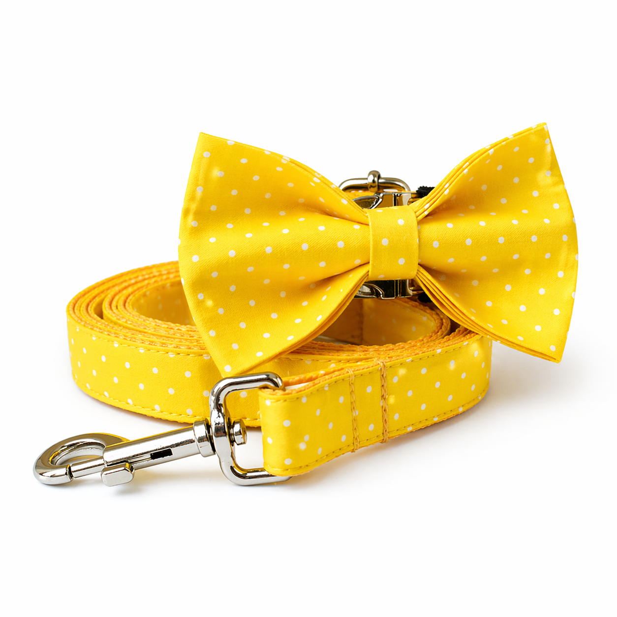 Sunny Dot Bow Collar & Leash Set